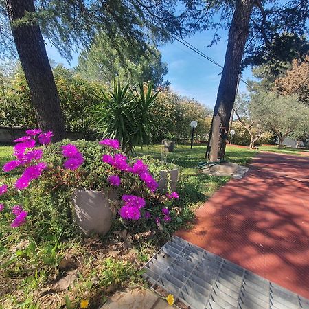 Mercadante - Luxury Holiday House Cassano delle Murge Exterior foto