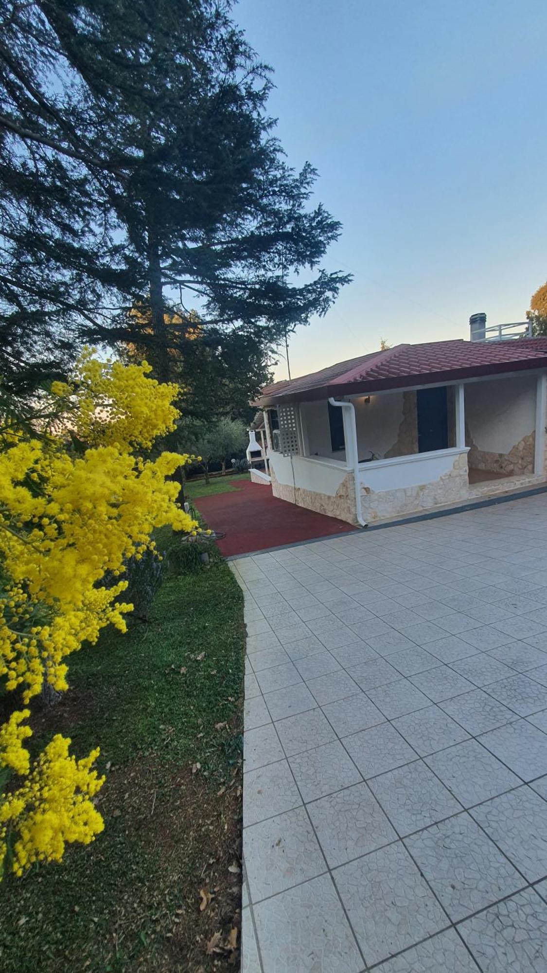 Mercadante - Luxury Holiday House Cassano delle Murge Exterior foto