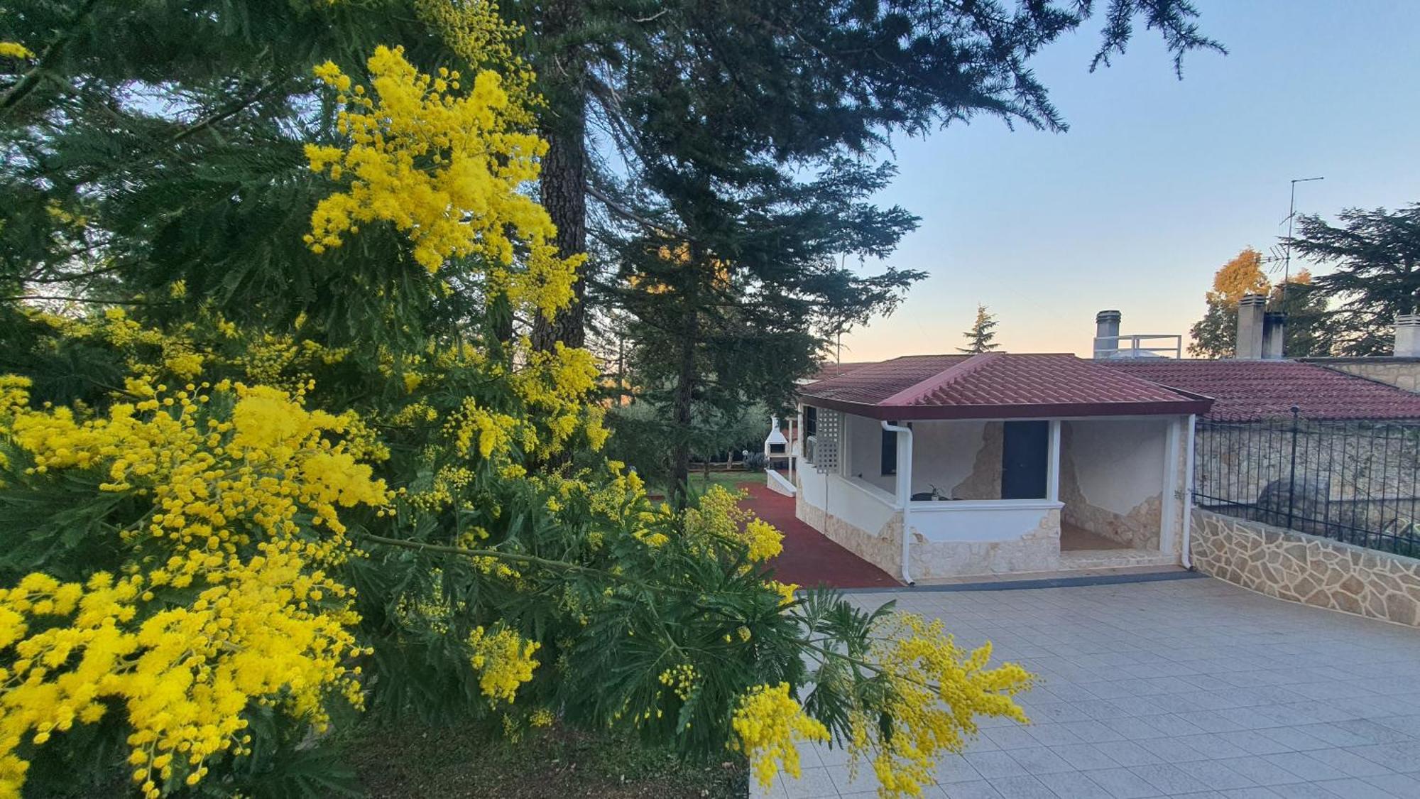 Mercadante - Luxury Holiday House Cassano delle Murge Exterior foto