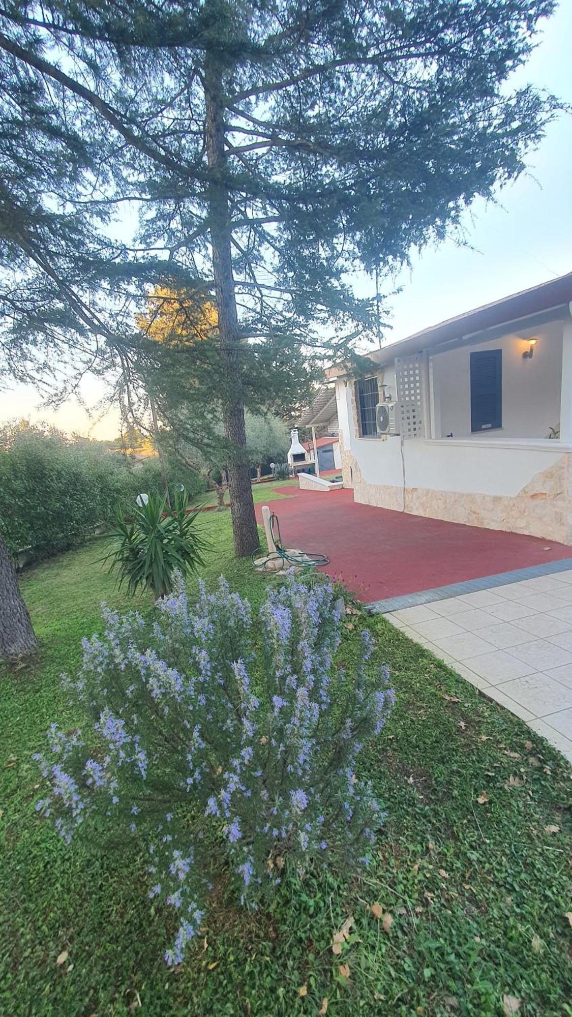 Mercadante - Luxury Holiday House Cassano delle Murge Exterior foto
