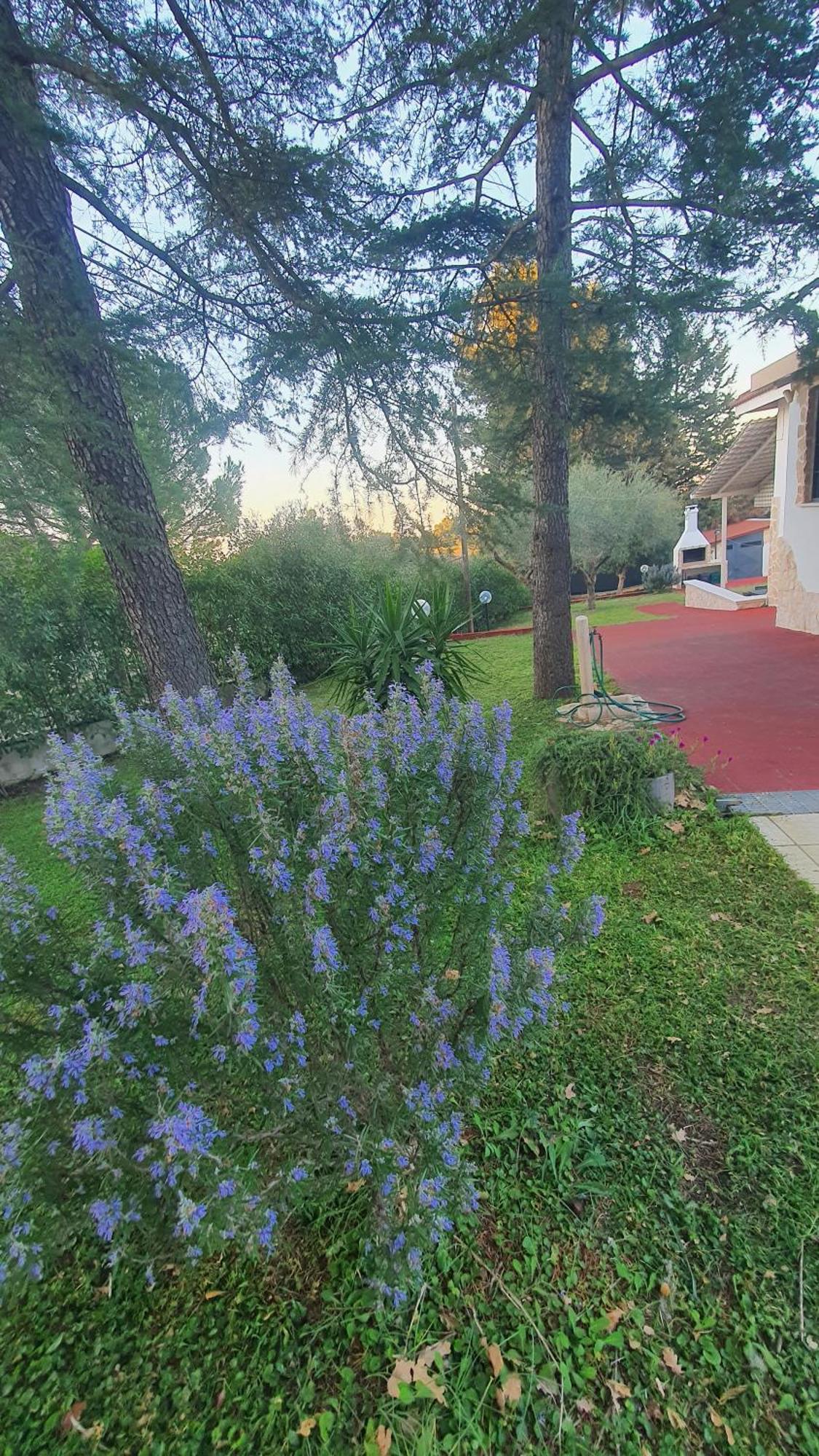 Mercadante - Luxury Holiday House Cassano delle Murge Exterior foto