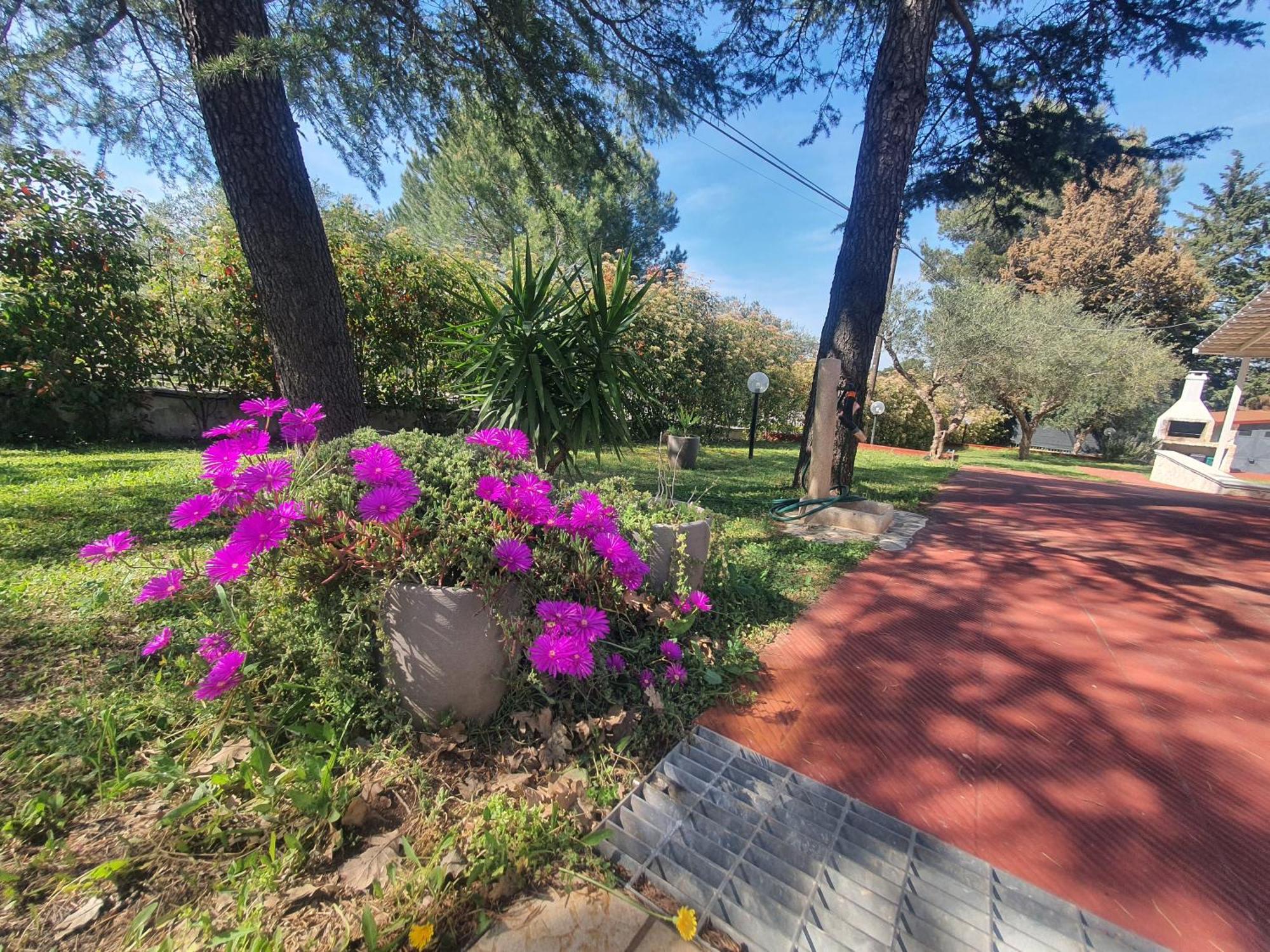 Mercadante - Luxury Holiday House Cassano delle Murge Exterior foto